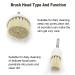 Elitzia Electric Rotary Brush Face Care Instrument Spare Parts - Wool Brush Set and Stone Brush Set - Buy Online on GoSupps.com