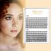 Individual Cluster Eyelashes QUEWEL - 240 Pieces 0.07C Curl DIY Eyelash Extensions Natural Look Mix 8-14mm (20D+30D) - Buy Online on GoSupps.com