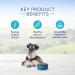 Blue Buffalo Dog Food 5 lb - Premium Quality Nutrition for Dogs - Buy Online on GoSupps.com