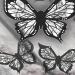 Butterfly Stencil For Eyeliner Butterfly Makeup Stencil Butterfly Eyeliner Stamp Winged Eyeliner Tool Reusable And Flexible Eyeliner Stamp - Buy Online on GoSupps.com