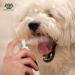 Natural Pet Oral Care Spray: Fights Plaque, Tartar & Gum Disease for Dogs and Cats - Buy Online on GoSupps.com