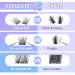 Buy Cluster Lashes - Wispy Individual C Curl Lash Clusters (10-12MM) for Natural DIY Eyelash Extensions at Home - Buy Online on GoSupps.com