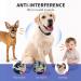 Rechargeable Smart Anti Bark Dog Collar | Adjustable Beep & Vibration | Effective Deterrent Device for Small, Medium, Large Dogs | Blue - Buy Online on GoSupps.com