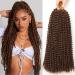 Passion Twist Hair 6 Packs 18 Inch (45.5 cm) Braids/Extensions Faux Locs Crochet Hair Yddm Synthetic Hair Extensions Passion Twist Crochet BRAIDS Hair Twist Hair 30 (30# 6 Packs Economy Pack) 30# 6PackS-ECOMY Package