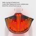 Eastuy Electric Heated Shoulder Pad & Scarf - Adjustable Temperature Safe & Skin-Friendly Heating Pillow for Cramps - Women's Warm Shoulder Wrap - Buy Online on GoSupps.com