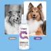 Dog Detangling Spray - Cat Detangling Spray 100ml Grooming Mist | Anti-static Pet Hair Conditioner Long-Lasting Fresh Deodorizer Detangler - Buy Online on GoSupps.com