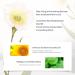 NENNEKO Moisturizing Face Cream | Deep Moisturizer for Dry Eczema-Prone & Sensitive Skin | Soothes Irritation & Repairs Dry Skin - Buy Online on GoSupps.com