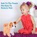 WorWoder Plush Shiba Inu Toy Puppy - Interactive Electronic Pet Dog for Kids - Buy Online on GoSupps.com