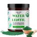 Water Lentil Protein Powder | Best Source of B12 Vitamin | aka Duckweed | with Organic Chlorella | Sugar Free | Rapid Energy Booster | Sustainably Farmed | 100% Recyclable 10oz Jar