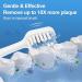 5 Count White Replacement Brush Heads for Waterpik Complete Care 5.0/9.0 & Aquasonic Duo Electric Toothbrushes - Buy Online on GoSupps.com