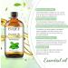 Peppermint essential oil (4 oz/118 ml) Pure Essential Oil - with Glass Dropper Great for Aromatherapy Diffuser Candle Making - Buy Online on GoSupps.com