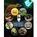 Tobebright 13W UVB Lamp 5.0 - Optimal Compact Fluorescent Lamp for Reptiles Aquariums & Terrariums | E27 AC220-240V - Buy Online on GoSupps.com