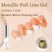 Gold Chrome Gel Nail Polish Glitter Liner - Metallic Painting Gel Liner Nail Art - Liner Painted Gel for Metal Glitter liner drawing and Nail Color Painting UV Liner Nail Gel - Buy Online on GoSupps.com