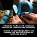 Premium Halter for Warmblood & Thoroughbred Horses - Adjustable Safe Tearproof Perfect for Stables & Pastures - Turquoise Cob Size - Buy Online on GoSupps.com