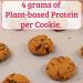 PB2 Pantry Chocolate Chip Cookie Mix - 16 oz Jar - Buy Online on GoSupps.com