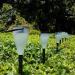 Solar Lawn Light 6 Pcs LED Discoloration Colored Outdoor 3 Modes Garden Lamps - Buy Online on GoSupps.com