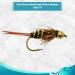Feeder Creek Prince Bead Head Nymph Fly - One Dozen Trout Bass Steelhead Wet Flies - Buy Online on GoSupps.com