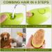 Cat Steam Brush Steamy Cat Brush - 3 in1 Pet Steam Brush Steam Brush for Dogs & Cats Multifunctional Cat Grooming Brush Pet Massage Comb Pet Hair Removal Comb (green) - Buy Online on GoSupps.com