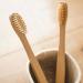 Bamboo Toothbrush Set of 2 | Sustainable Wooden Brushes with Natural Bristles for Eco-Friendly Oral Care - Buy Online on GoSupps.com