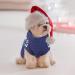 Katzinst Christmas Dog Sweater for Small Dogs | Fleece Sweater for French Bulldogs Dachshunds Chihuahuas & Yorkies - Blue - Buy Online on GoSupps.com