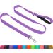 Taglory dog leash medium -sized large dogs light |Reflecting double -sided |Padded handle |Support 10 to 75 kg |1.8m x 2.5cm |Purple 1.8 m x 2.5 cm (1 -pack) purple