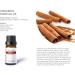 Christmas Essential Oils Set - Premium 6 Pack (10ml Each) | Cinnamon Clove Nutmeg Pine Candy Cane Holiday Joy - Perfect for Holiday Aromatherapy - Buy Online on GoSupps.com