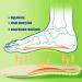 Comfortable Sneaker Insoles for Men Women & Kids | Shock Absorption & Pain Relief | Plantar Fasciitis Support - Buy Online on GoSupps.com