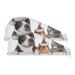 Microfiber Dog Cat Towel Quick Drying for Colored Thick Hair 2 Pack 9.5" x 24"