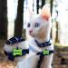 Personalized Yehanti Dog Tags with Engraving | Quiet Waterproof & Lightweight Silicone | Custom Name Phone & Address for Dogs & Cats - Buy Online on GoSupps.com