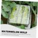 FUNOMOCYA Watermelon Shaping Vegetables Vegetable Vegetable Mould Large Moss Pole Watermelon Strawberry Ginseng Fruit 15x15cm Transparent - Buy Online on GoSupps.com