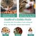 Duuclume 2 Pcs Pets Pill Shooter & Pill Crusher and Cutter Pet Piller Gun for Tablets Pet Medical Feeding Dispenser Soft Tip Syringe for Cats & Dogs Portable Pill Splitter Multifunction Pill Box Green-1 - Buy Online on GoSupps.com