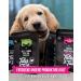 Tales & Tails Salmon Oil for Dogs - Omega 3 Natural Additives 8x240ml Pack | Healthy Dog Food Supplement - Buy Online on GoSupps.com