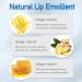Rosarden Ginger Plump Lipstick - Daily Lip Gloss for Moisturizing and Reducing Lines - Buy Online on GoSupps.com