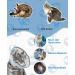 Supet Rewrise Adjustable Cat Collar - Recovery Cone for Dogs & Cats Post-Surgery (Gray Neck 14-24cm) - Buy Online on GoSupps.com