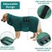 Pettom Microfiber Dog Bathrobe - Quick Drying Comfortable Wader for Large Medium & Small Dogs (XL Green) | International Shipping Available - Buy Online on GoSupps.com