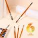 Sable Watercolor Brushes - Professional Kolinsky 6pcs Set for Artists - Pointed Rounds, Cat Tongue, Oval Wash, Dagger - Watercolor, Acrylics, Inks, Gouache Painting - Yellow - Buy Online on GoSupps.com