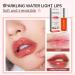 Sea-Maid Plumping Lip Oil - Hydrating Gloss Tinted Balm with Big Brush Head for Long Lasting Nourishment and Glitter Shine - Buy Online on GoSupps.com