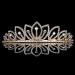 TOBATOBA Gold Princess Tiara for Girls | Rhinestone Hair Accessories for Pageants, Proms, Birthdays | Quinceanera Crown Headpiece - Buy Online on GoSupps.com