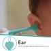 Dr. Talbot's Safe Baby Ear Wax Removal Tool & Nose Cleaner - BPA-Free 2-Pack with Travel Case - Boy Blue/Green - Buy Online on GoSupps.com