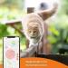Weeneect XS Mini GPS Tracker for Cats | Real-Time GPS Tracking | Smallest Model | Unlimited Distance | Collar Included | 2023 - Buy Online on GoSupps.com