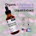 Echinacea and Goldenseal 2 fl oz Liquid Extract - Natural Herbal Supplement - Immune Support Drops - Enhance Sleep | Boost Energy - High Potency - 45-Day Supply - Buy Online on GoSupps.com