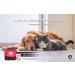 JUSAID Pet First Aid Kit - 105 Piece Nursing Supplies with Emergency Collar | Ideal for Home, Office, Travel, Car, Hiking | For Dogs, Cats - First Aid Instructions Included - Buy Online on GoSupps.com