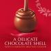 Lindt LINDOR Milk Chocolate Candy Truffles 15.2 oz. Bag - Buy Online on GoSupps.com