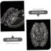 OFFSCH Fruits Forming Mould Vegetable Growing Ginseng Fruit Shaping Tool Melon Shaping Novel Shaping Small - Buy Online on GoSupps.com