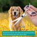 Elfirly Curved Dog Grooming Scissors - Round Safety Tip Pet Shears for Dogs & Cats (Blue) - Buy Online on GoSupps.com