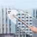 Outside Magnetic Window Cleaner Window Cleaner Magnetic Double Side Window Cleaner Glass Wiper Cleaning Tools for High-Rise Double Car Glazed Window - Buy Online on GoSupps.com