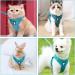 Breakproof Adjustable Cat Dishes with Leash - Soft & Durable for Cats Small Dogs & Rabbits (XS) | International Shipping Available - Buy Online on GoSupps.com