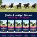 Eukanuba Premium Dry Dog Food for Large Breeds - Senior Chicken 3 kg | International Shipping Available - Buy Online on GoSupps.com