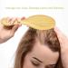 GAINWELL Bamboo Paddle Hair Brush - Detangling Hairbrush with Bamboo Bristles for Scalp Massage - Buy Online on GoSupps.com