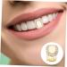 Buy Packove 1 Set Gilded 18K Metal Grill Accessories - Stylish Decorative Grill for Stand Up & Press - Golden 1x0.8x1cm - Buy Online on GoSupps.com